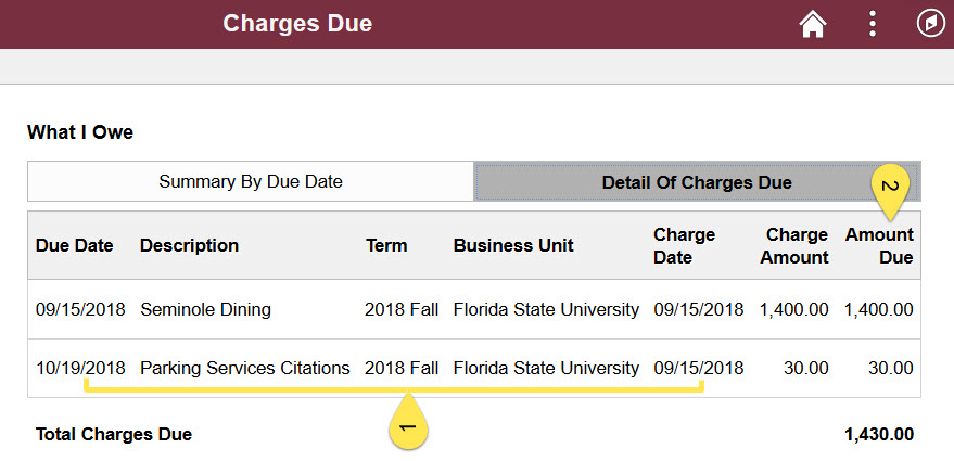 Charges Due Detail.jpg